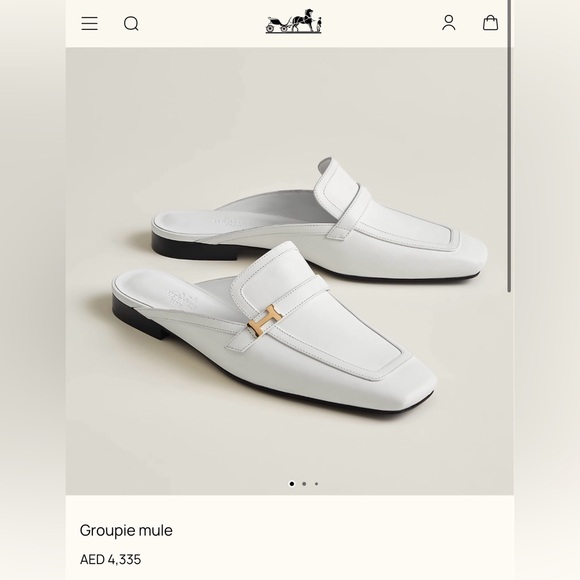 Hermes Groupie mule - Blanc Sz 37 BNIB - Picture 2 of 12